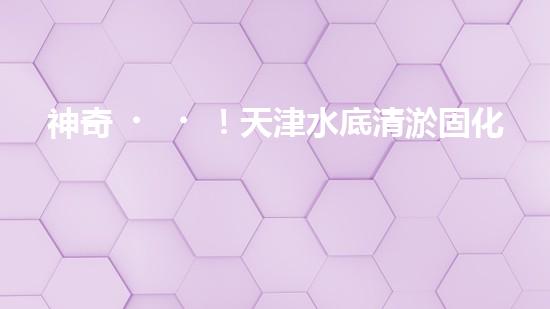 神奇！天津水底清淤固化設(shè)備：解開海底秘密！